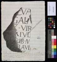 46