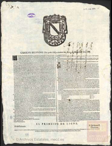 Imagen del registro