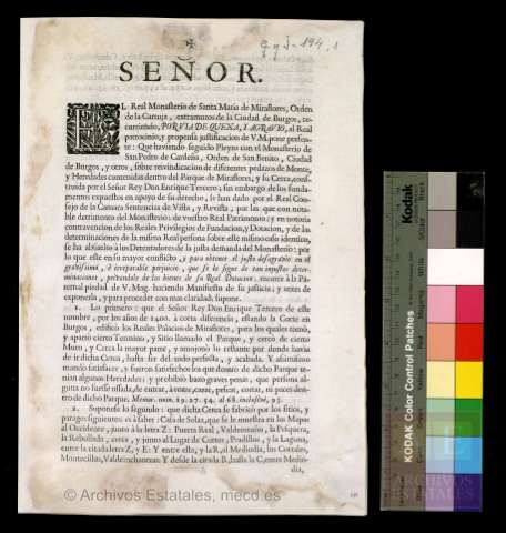 Imagen del registro