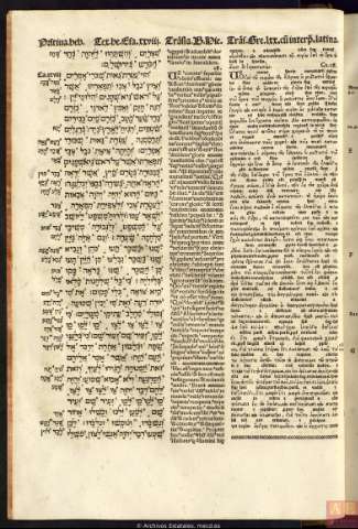 46