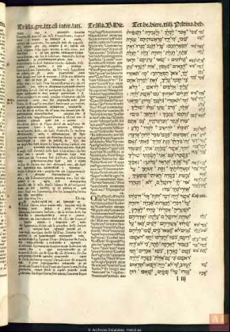 131