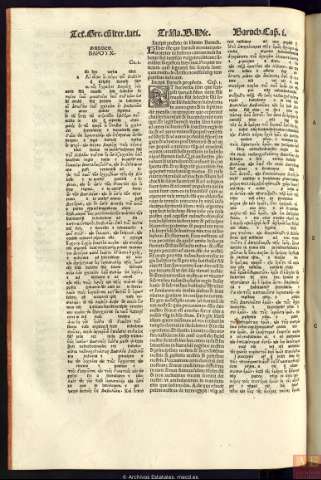 228