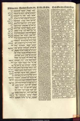262