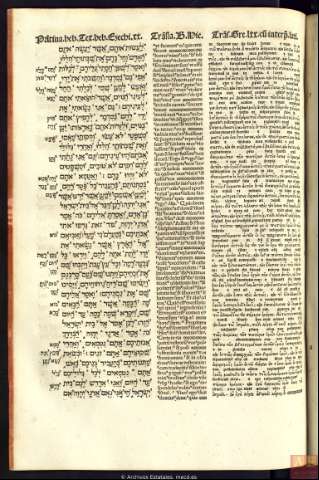 272