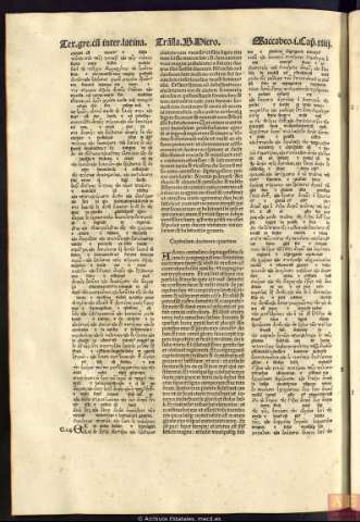 494
